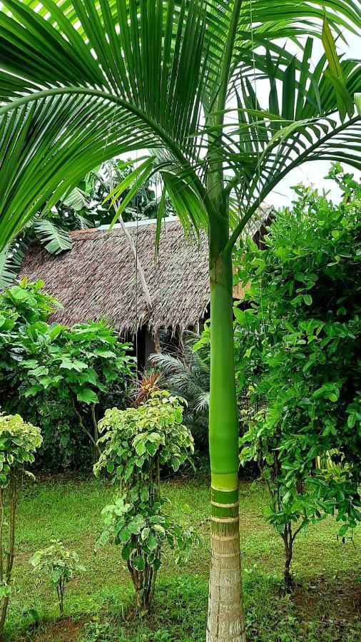 Travis Post Homestay Siquijor Exterior foto